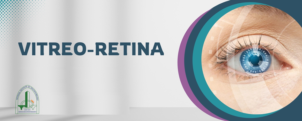 Vitro retina